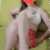 Aydınlıkevler Yeni Escort Pelinsu - Image 2